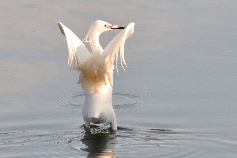 3-Etirements au soleil levant