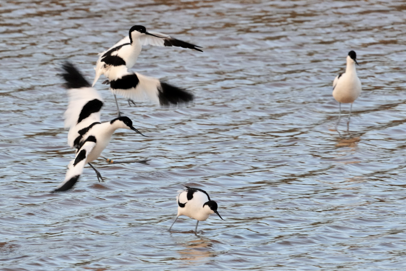 4-On fait les folles