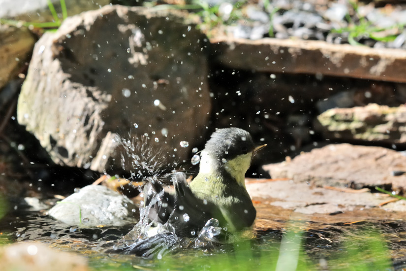 10-En mode godille ...