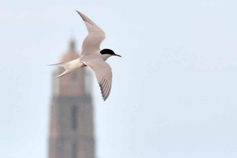 3-Comme un point sur un I